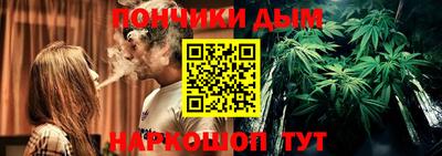 крисы Кулебаки