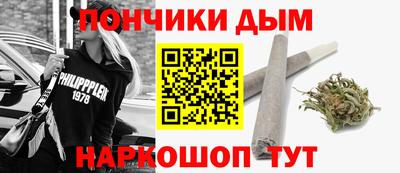крисы Кулебаки