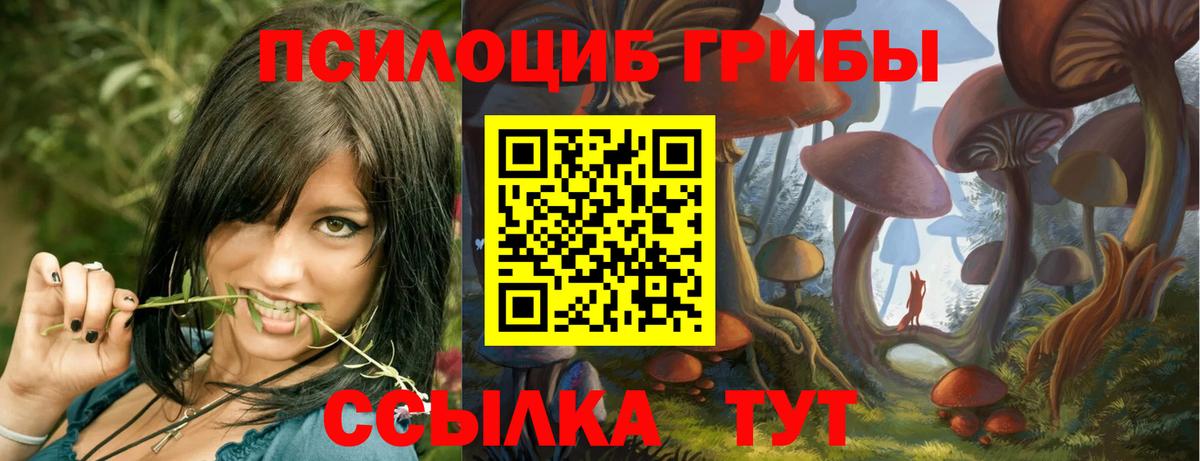 Галлюциногенные грибы ЛСД Каменка
